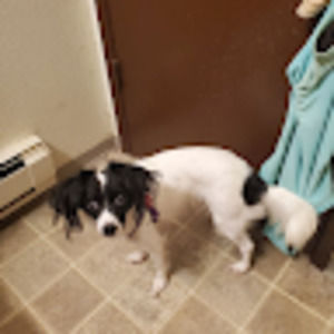 Meet your Posher, Wendy